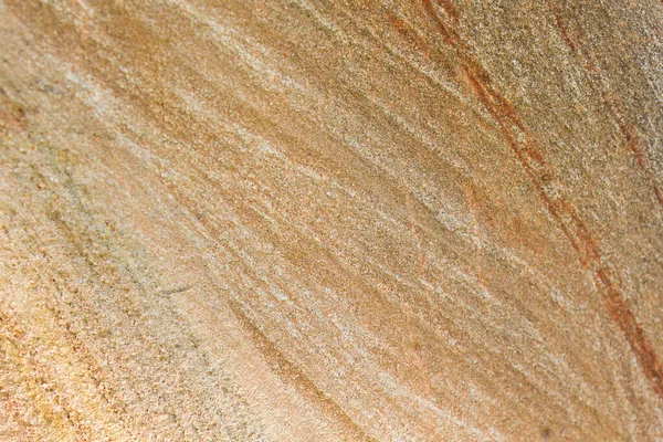 Textura Madeira Petrificada Fundo Fechar — Fotografia de Stock
