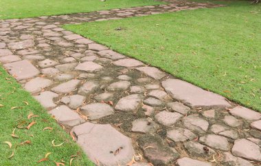 Taş patika çim alanı.