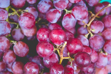 Su ile kırmızı üzüm, yakın çekim arka plan damla.