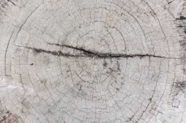 Tahta taneleri kapatın..