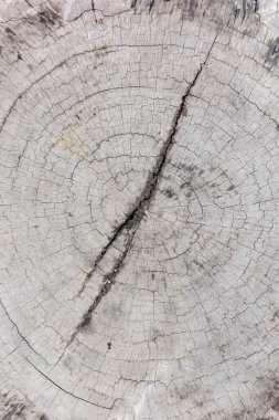 Tahta taneleri kapatın..