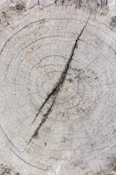 Tahta taneleri kapatın..