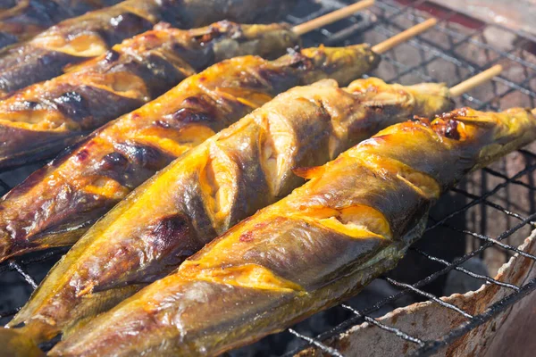 Catfish Grill Sur Barbecue Charbon Bois Thai Food — Photo