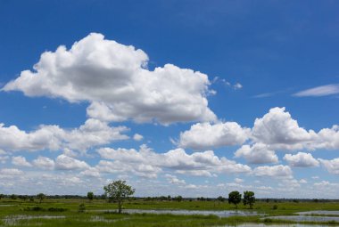 Mavi gökyüzünde beyaz bulut.