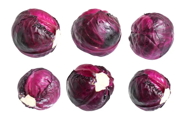 Fresh Red Purple Cabbage Isolated Clipping Path White Background Shadow — Stock Photo, Image