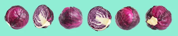 鲜红色或紫色卷心菜 有剪枝路径 白色背景 无阴影 — 图库照片