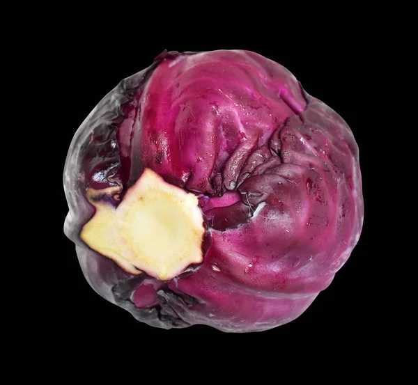 Cavolo Rosso Viola Fresco Isolato Con Percorso Ritaglio Sfondo Bianco — Foto Stock