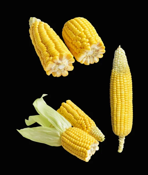 Свіжа Жовта Кукурудза Ізольована Білому Тлі Тіні Половина Солодкої Кукурудзи — стокове фото