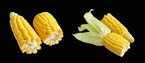 Fresh Yellow Corn Isolated White Background Shadow Half Sweet Corn — Stock Photo, Image