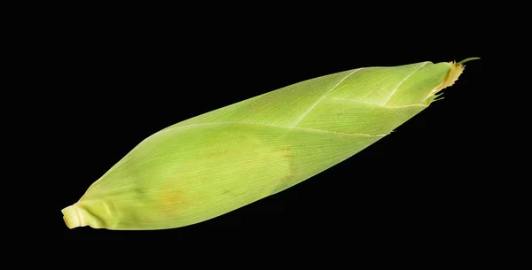 Grano Giallo Fresco Isolato Fondo Bianco Senza Ombra Mezzo Mais — Foto Stock