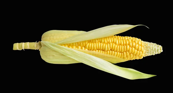 Свіжа Жовта Кукурудза Ізольована Білому Тлі Тіні Половина Солодкої Кукурудзи — стокове фото