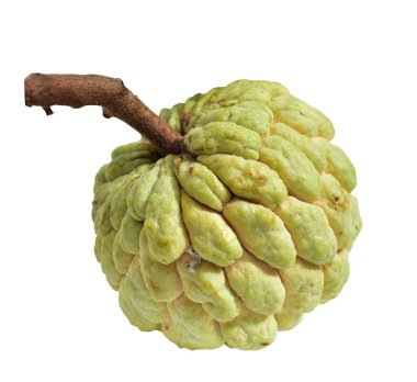 Taze kremalı elma veya elma şekeri izole edilmiş, dilimler, parçalar, yarısı kırpma yolu olan, beyaz arka planda gölgesi olmayan