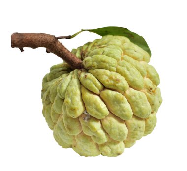 Taze kremalı elma veya elma şekeri izole edilmiş, dilimler, parçalar, yarısı kırpma yolu olan, beyaz arka planda gölgesi olmayan