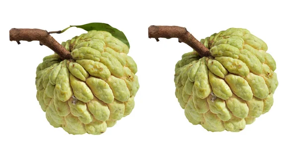 Fresh custard apple or sugar apple fruit isolated, slices, pieces, half with clipping path, no shadow in white background