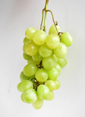 Taze yeşil üzüm meyvesi izole, yeşil arka planda kırpma yolu olan gölge yok.
