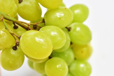 Taze yeşil üzüm meyvesi izole, yeşil arka planda kırpma yolu olan gölge yok.