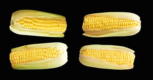 Fresh yellow corn isolated in white background, no shadow, half sweet corn with clipping path