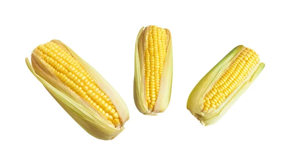 Frisch Gelber Mais Isoliert Auf Weißem Hintergrund Kein Schatten Halb — Stockfoto
