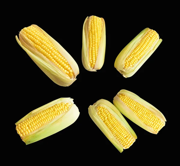 Fresh Yellow Corn Isolated White Background Shadow Half Sweet Corn — Stock Photo, Image