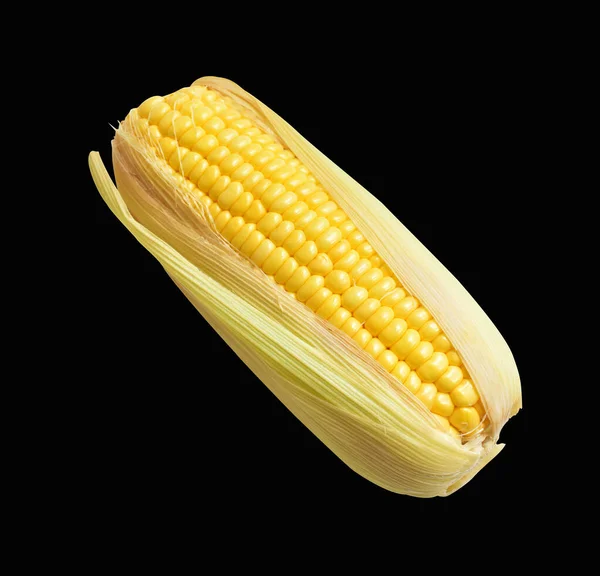 Fresh Yellow Corn Isolated White Background Shadow Half Sweet Corn — Stock Photo, Image