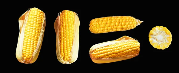 Fresh Yellow Corn Isolated White Background Shadow Half Sweet Corn — Stock Photo, Image