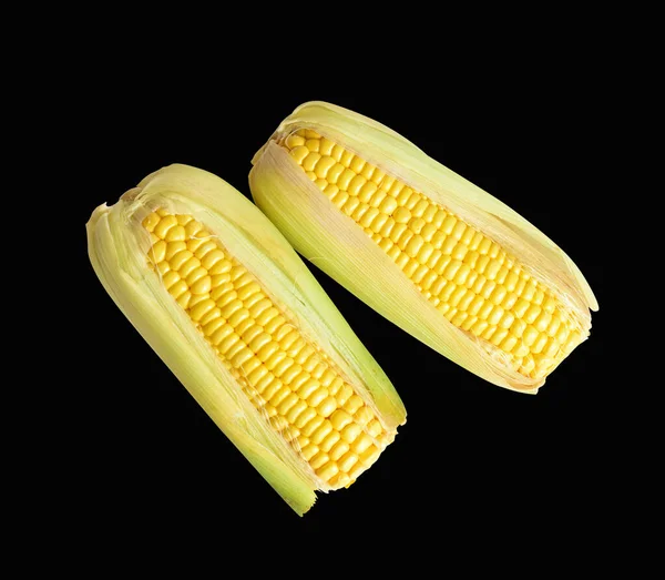 Fresh Yellow Corn Isolated White Background Shadow Half Sweet Corn — Stock Photo, Image