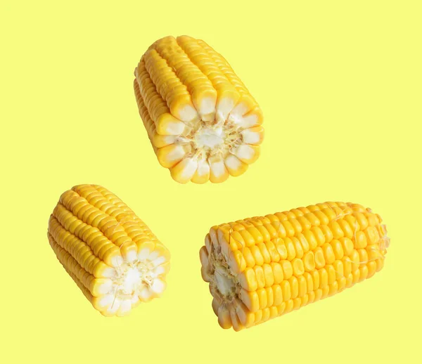 Świeża Żółta Kukurydza Odizolowana Białym Tle Bez Cienia Półsłodka Kukurydza — Zdjęcie stockowe