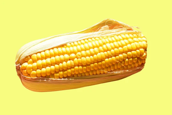 Świeża Żółta Kukurydza Odizolowana Białym Tle Bez Cienia Cała Surowa — Zdjęcie stockowe