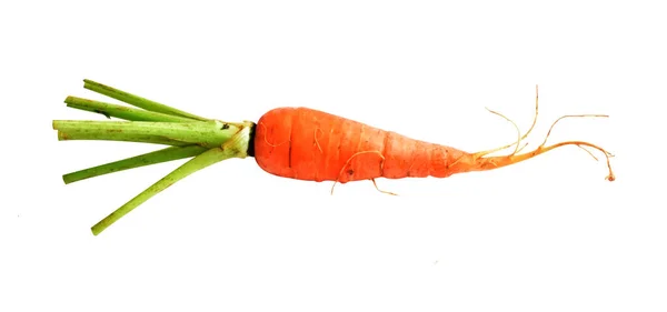 从白色背景分离出来的胡萝卜 食物配料 胡萝卜背景 顶视图 — 图库照片