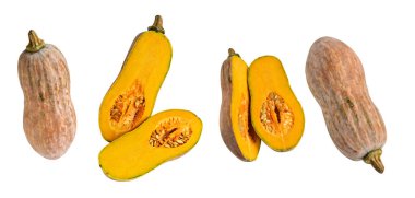 Portakal rengi uzun kabaklar, kabak kabağı, kabak kabağı kesme yolu ile izole edilmiş, siyah arka planda gölge yok.