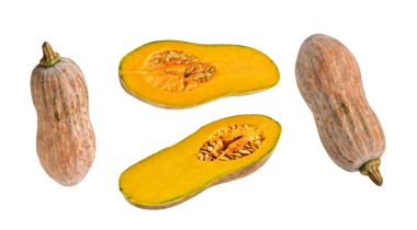 Portakal rengi uzun kabaklar, kabak kabağı, kabak kabağı kesme yolu ile izole edilmiş, siyah arka planda gölge yok.