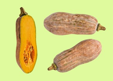 Portakal rengi uzun kabaklar, kabak kabağı, kabak kabağı kesme yolu ile izole edilmiş, siyah arka planda gölge yok.