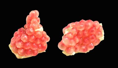 Taze olgun kırmızı nar meyvesi izole edilmiş, pastel yeşil arka planda kırpma yolu olan gölge yok.