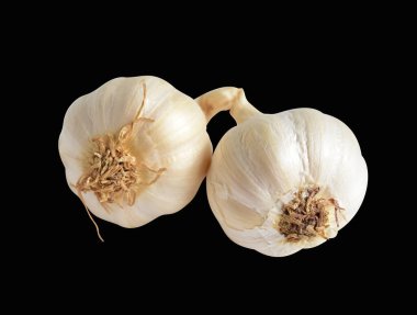 Sarımsak izole, siyah arka planda yemek malzemesi, gölge yok, kırpma yolu yok.