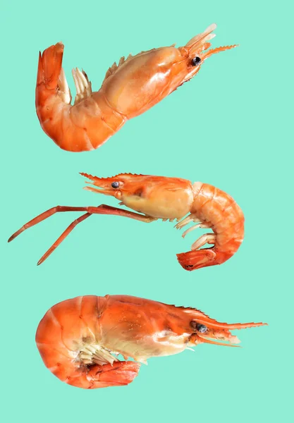 Crevettes Bouillies Isolées Avec Chemin Coupe Pas Ombre Sur Fond — Photo