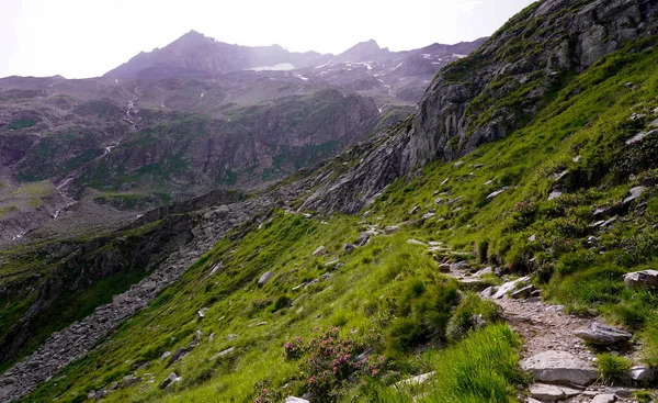 Footpath Mountains Alps Austria — Stockfoto