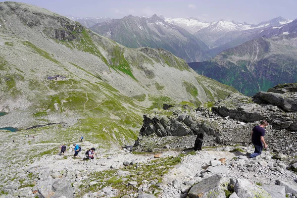 Lidé Pes Kráčejí Horské Stezce Alpách — Stock fotografie