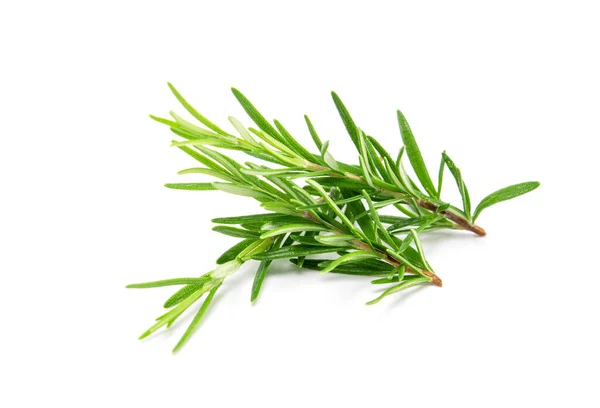 Rosemary Sprig Isolated White Background Aromatic Evergreen Shrub — Stock Photo, Image