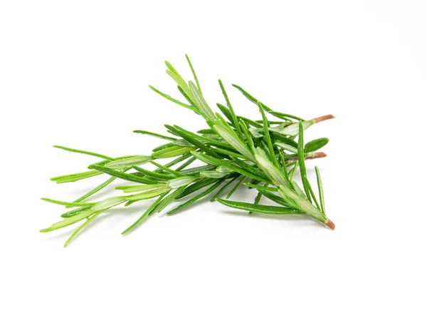 Rosemary Sprig Isolated White Background Aromatic Evergreen Shrub — Stock Photo, Image