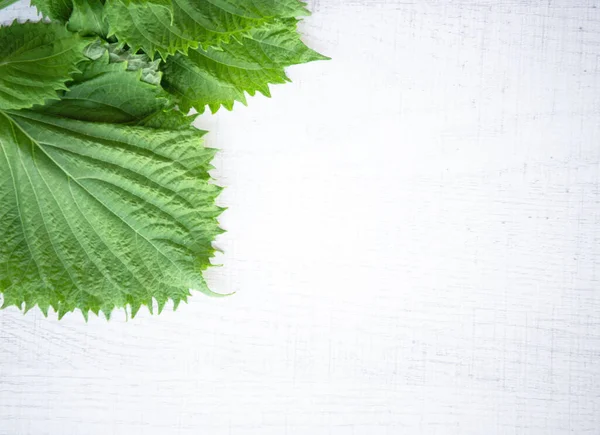 Japanese Perilla Leaves Wooden Background Copy Space — Foto de Stock