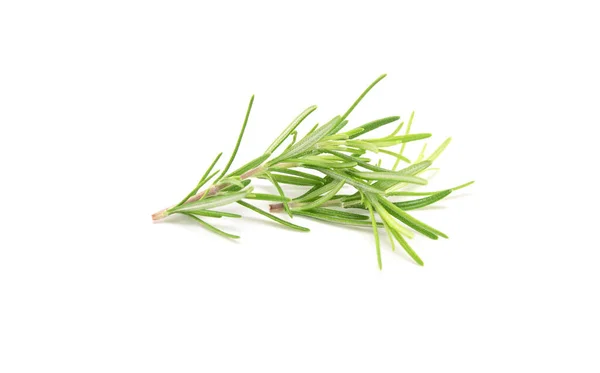 Fresh Rosemary Sprig Isolated White Background — Stock Photo, Image