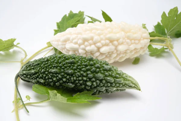 White and green bitter gourd or bitter melon with vine isolated on white background