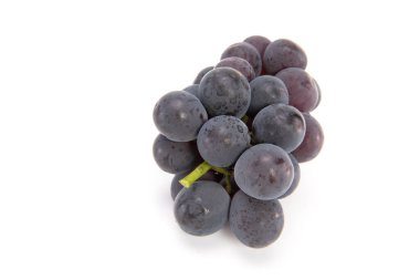Bunch of japanese black grapes isolated on white background.