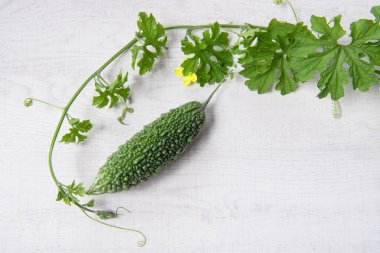 Bitter gourd or bitter melon with vine on wooden background.