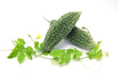 Fresh bitter gourd or bitter melon with leaves isolated on white background. copy space.