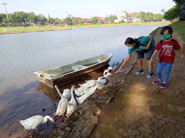 照片编辑 2021年9月26日 印度尼西亚雅加达东部 孩子们和她的母亲在人工湖喂鸭 — 图库照片