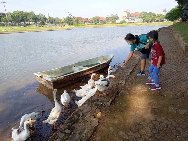 照片编辑 2021年9月26日 印度尼西亚雅加达东部 孩子们和她的母亲在人工湖喂鸭 — 图库照片