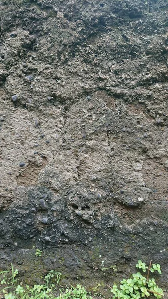 Abstrakt Cementvägg Och Mossa För Bakgrund — Stockfoto