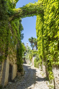 Bussana Vecchia, İtalya - 04-07-2021: Bussana Vecchia 'daki evlere giden antik sokaklar hasar gördü ve depremde bitkiler ve çiçekler meydana geldi
