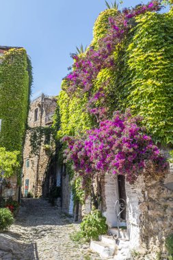 Bussana Vecchia, İtalya - 04-07-2021: Bussana Vecchia 'daki evlere giden antik sokaklar hasar gördü ve depremde bitkiler ve çiçekler meydana geldi